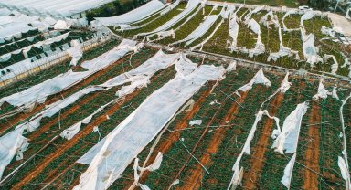 'Antalya'da fırtına ve hortum sebze fiyatlarını etkileyecek'