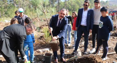 Kemer'de fidanlar yanan ormana dikildi