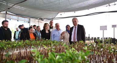 Kepez'i kendi yetiştirdikleri bitkilerle yeşillendiriyorlar