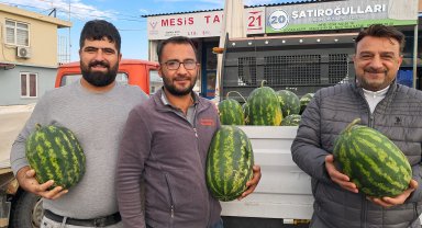 Mevsimin ilk karpuzu hale girdi