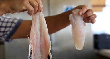 Mezgitin kilosu 750 lirayı buldu; yarı fiyatına 'zehir' uyarısı