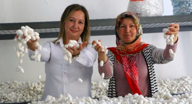 Sapadere İpek Evi'nde eğitim kursları başladı