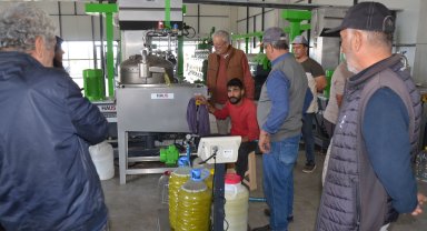 Sızma zeytinyağının kilosu 300 lira