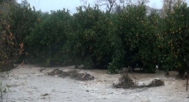 Antalya'da sağanak; şimşekler gökyüzünü aydınlattı