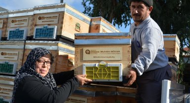 Büyükşehir Belediyesi Alanyalı bal üreticilerine arı kovanı hibe etti