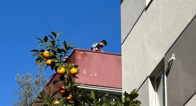 Çatıya çıkıp taş fırlattı, polise direndi
