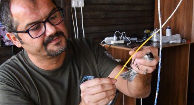 KKTC'nin ilk kuş halkalama istasyonu açıldı