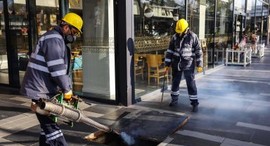 1500 kişiyle 913 mahallede vektörle mücadele