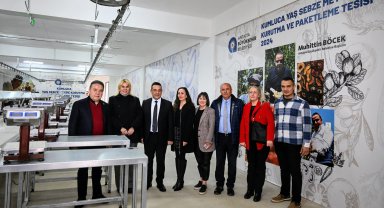 Başkan Böcek kurutma ve paketleme tesisini gezdi