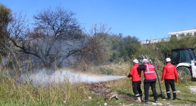 Rüzgarın etkisiyle büyüyen ağaçlık yangını söndürüldü