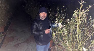 Zirai dona karşı dumanlı mücadele