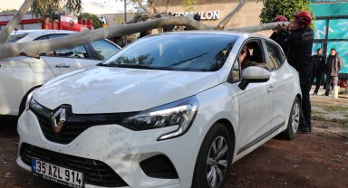 Rüzgarın devirdiği ağaç 2 otomobilin üzerine düştü