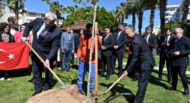 Dostluk çınarı toprağa kavuştu