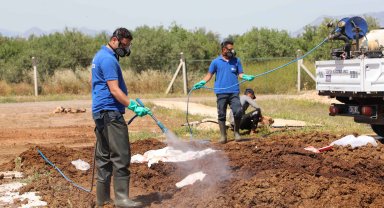 Büyükşehir kurban satış noktalarını ilaçlıyor