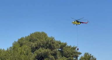Antalya Aksu'da orman yangını