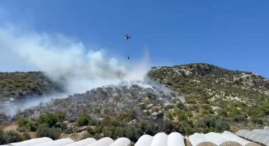 Antalya'da orman yangını