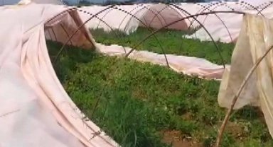 Serik'te hortum seralara zarar verdi