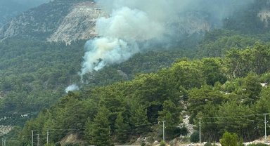 Orman yangını büyümeden söndürüldü