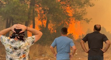 6 aydaki 118 orman yangınında, 540.2 hektar alan zarar gördü