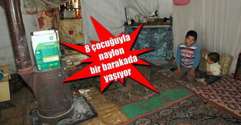 8 çocuğuyla naylon bir barakada yaşıyor