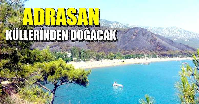 Adrasan küllerinden doğacak