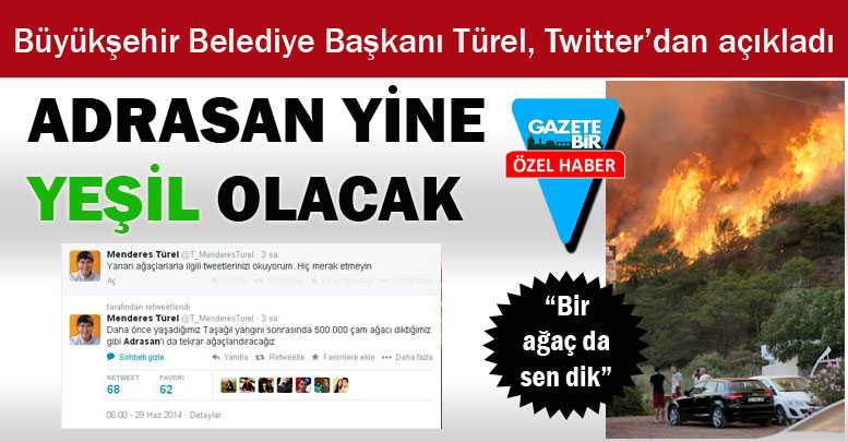 Adrasan yine ağaçlandırılacak