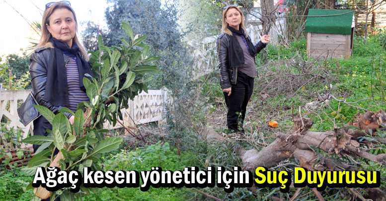 Ağaç kesen yönetici için ‘Suç Duyurusu’