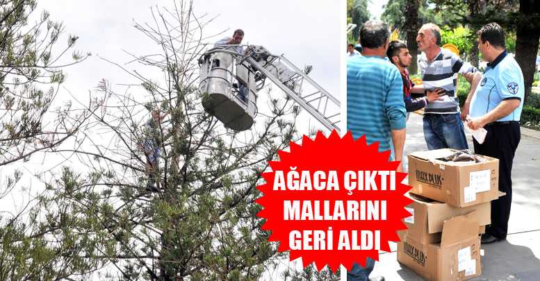 AĞACA ÇIKTI MALLARINI GERİ ALDI
