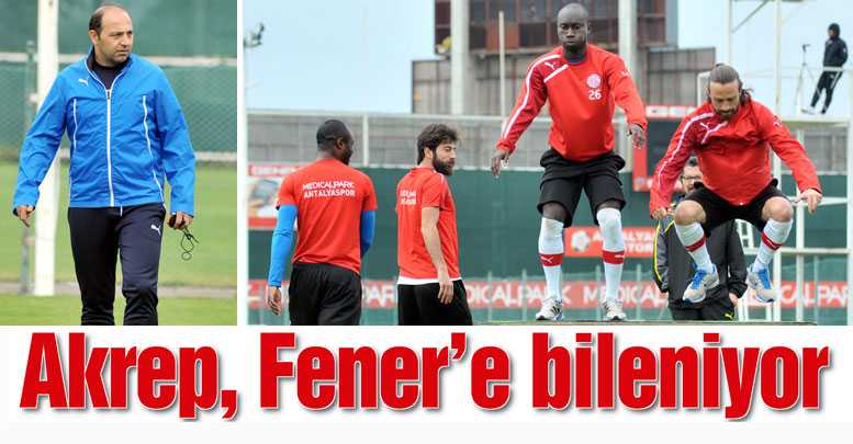 Akrep Fener’e bileniyor