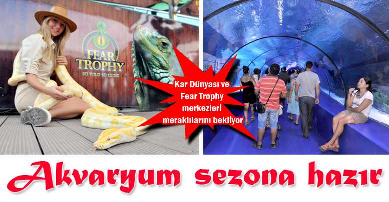 Akvaryum sezona hazır