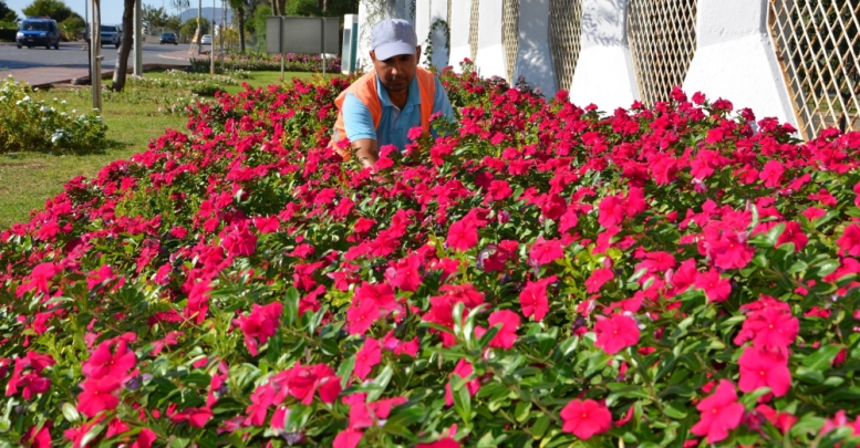 Alanya’ya 200 bin çiçek