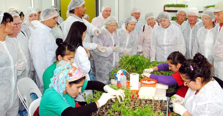 Alman çiftçiler seraları inceledi