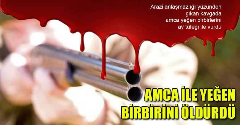 Amca ile yeğen birbirini öldürdü