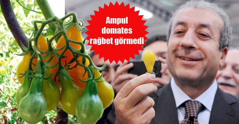 Ampul domates rağbet görmedi