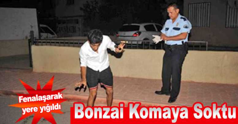 Antalya'da Bonzai Komaya Soktu