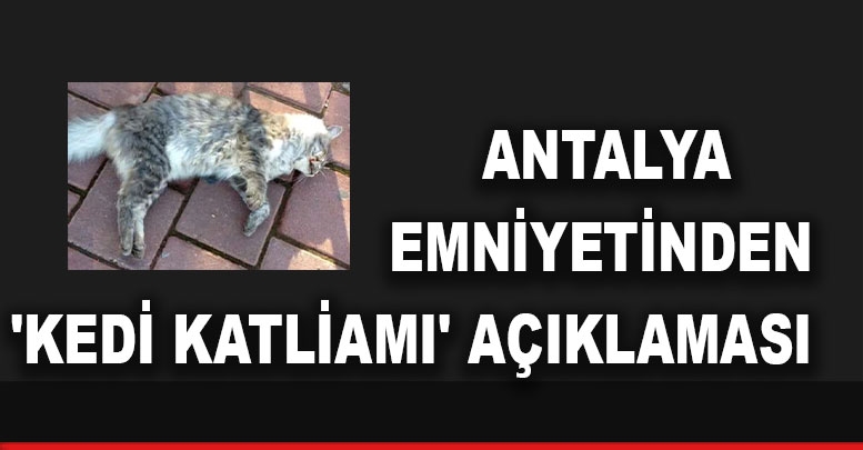 Antalya Emniyetinden 'kedi katliamı' açıklaması