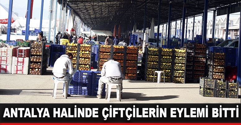 Antalya halinde çiftçilerin eylemi bitti