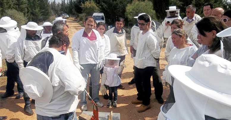 Arıcılıkta ‘zirveye’