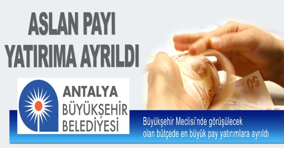 Aslan payı yatırıma