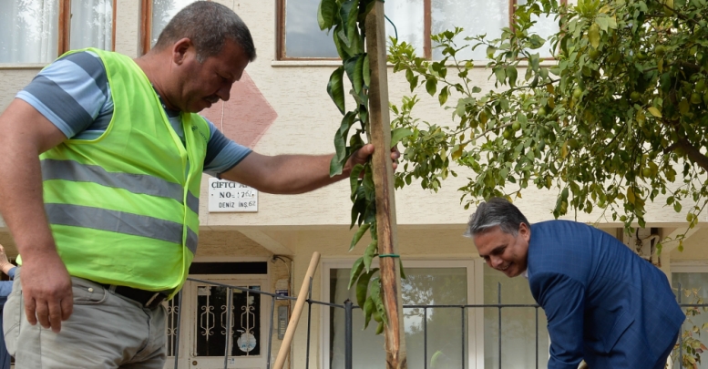 Başkan Uysal ilk fidanı dikti