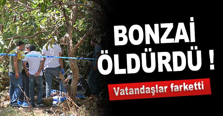 Bonzai öldürdü !