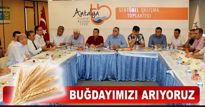 Buğdayımızı arıyoruz