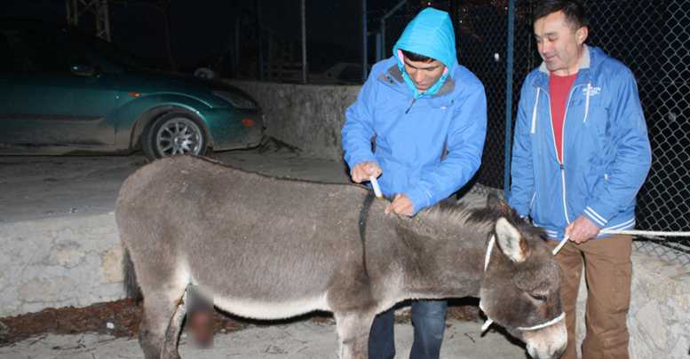 BUNU YAPAN İNSAN OLAMAZ