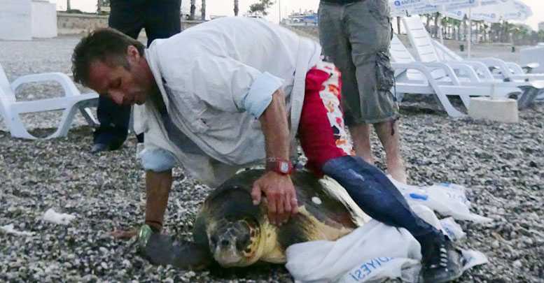 Caretta Caretta’yı çuvalla götürmeye kalkıştı