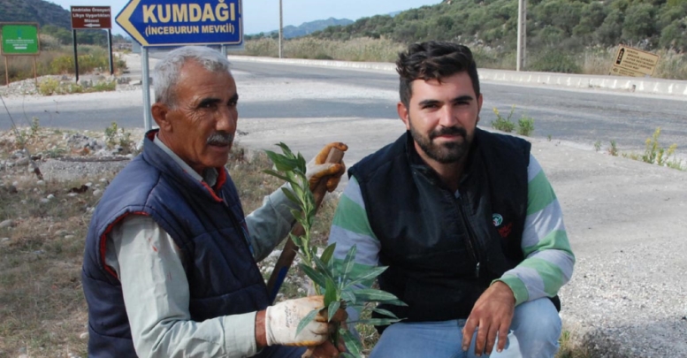 Çayağzı Yolu'na yeşil kuşak