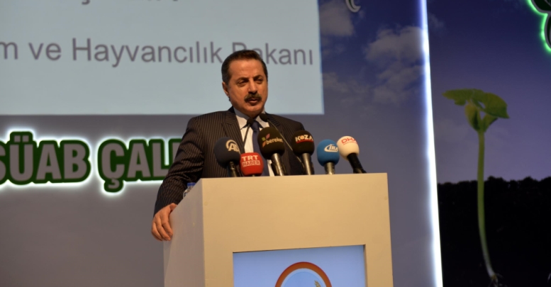 Çelik’ten 'suikast' yorumu