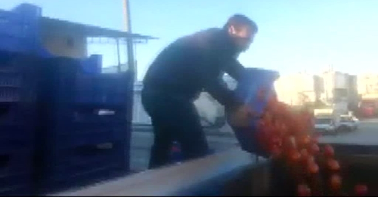 Çiftçiler domatesleri çöpe dökmek için sıraya girdi