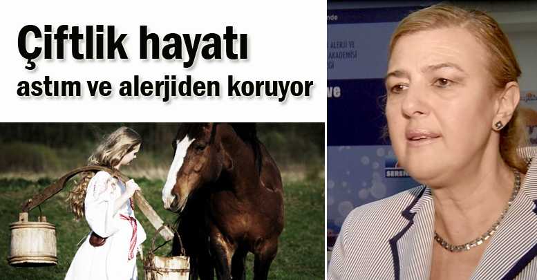 Çiftlik hayatı astım ve alerjiden koruyor