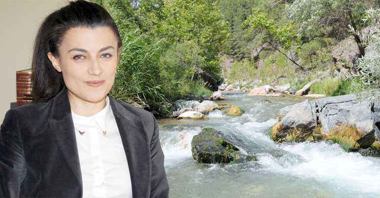 Danıştay’ı takmadılar