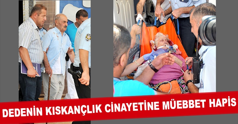 Dedenin kıskançlık cinayetine müebbet hapis